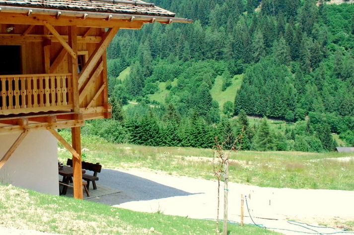 GardenSummer