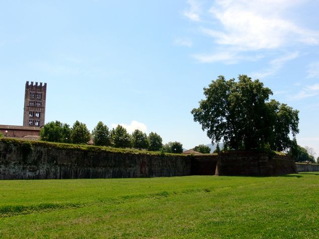 Lucca