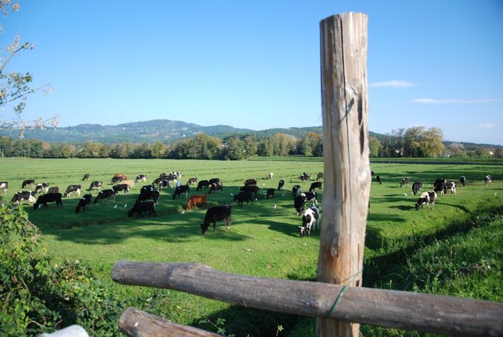 Surroundings
