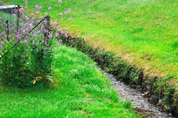 GardenSummer