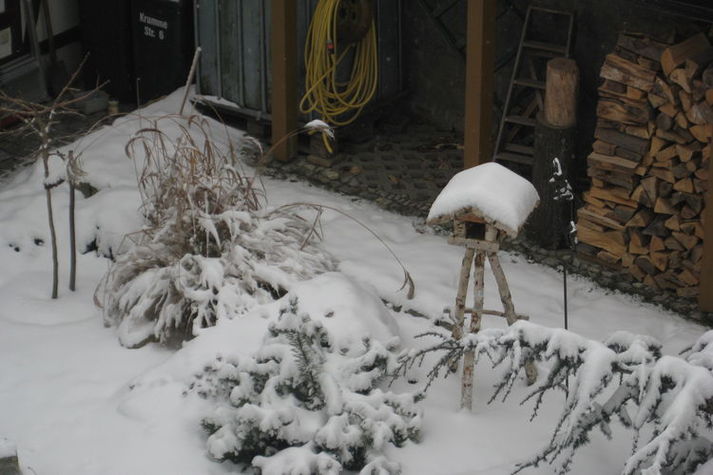 GardenWinter