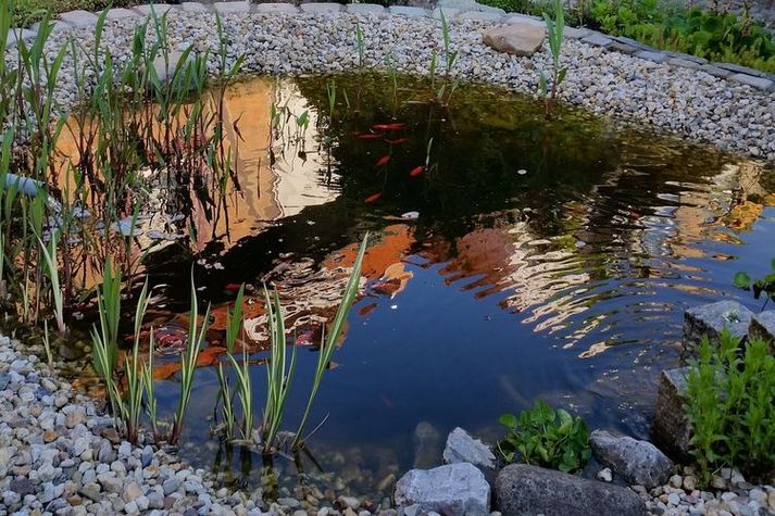GardenSummer