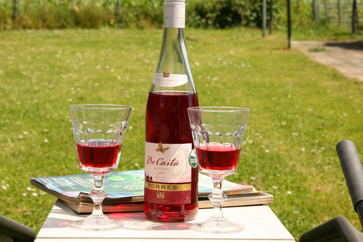 GardenSummer