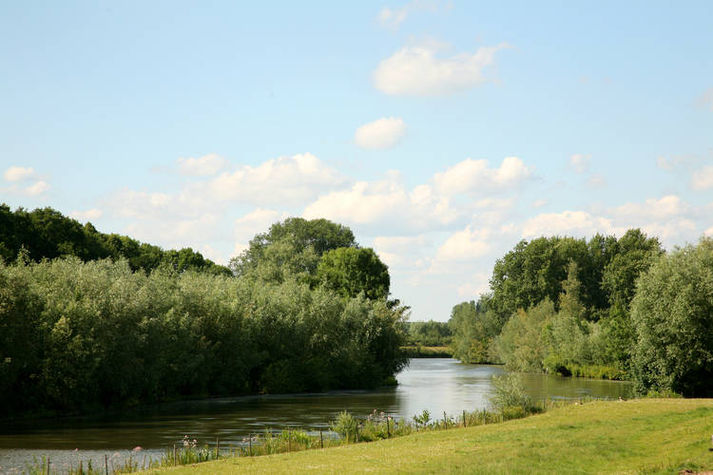 AreaSummer1KM