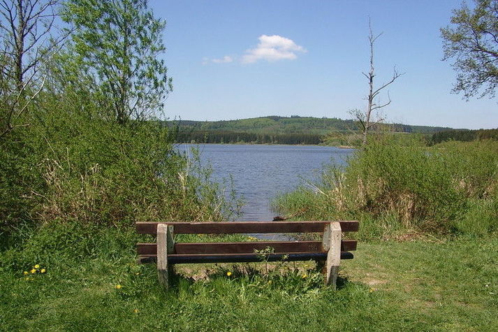 AreaSummer1KM