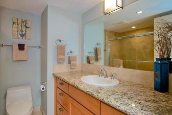 Guest bedroom with private bath