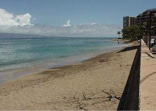 Beach across the street from Kahana Villa