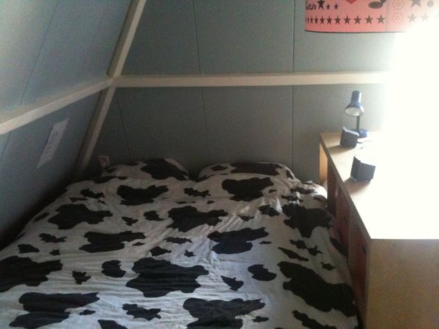 You'll be sleeping in a cow themed bed, for your complete Dutch experience.
