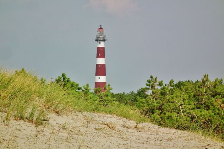 AreaSummer20KM