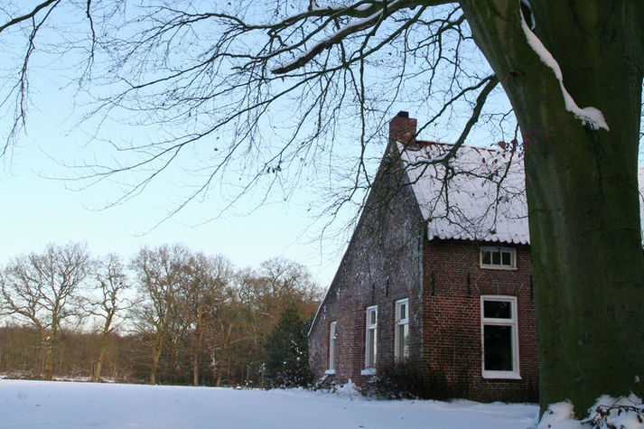 GardenWinter