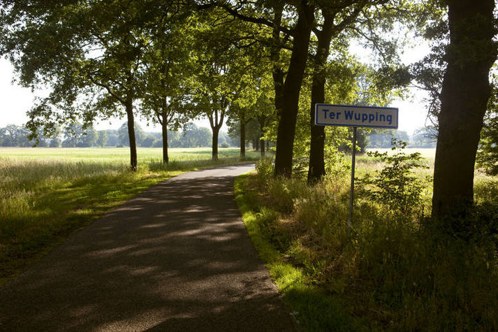 AreaSummer1KM