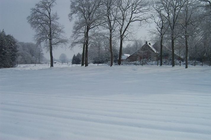 ExteriorWinter