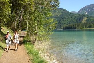 AreaSummer5KM