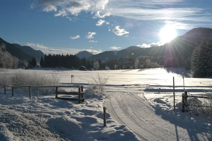 AreaWinter1KM