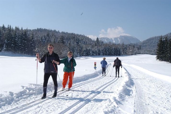 AreaWinter1KM