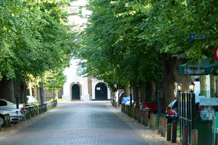 AreaSummer1KM
