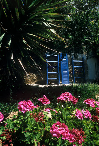 Garden (detail)