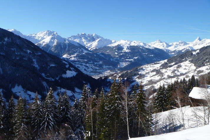 ViewWinter