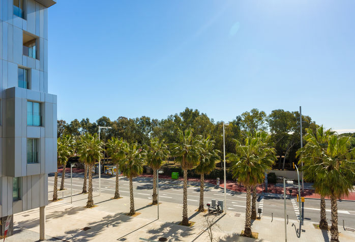 Views from the Living room