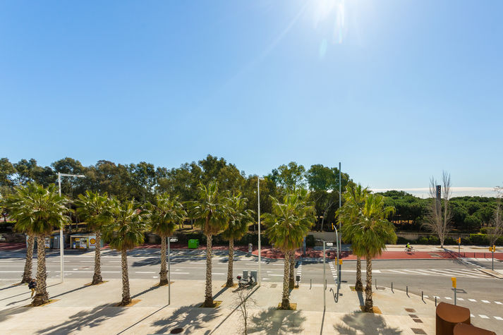 Views from the Living room