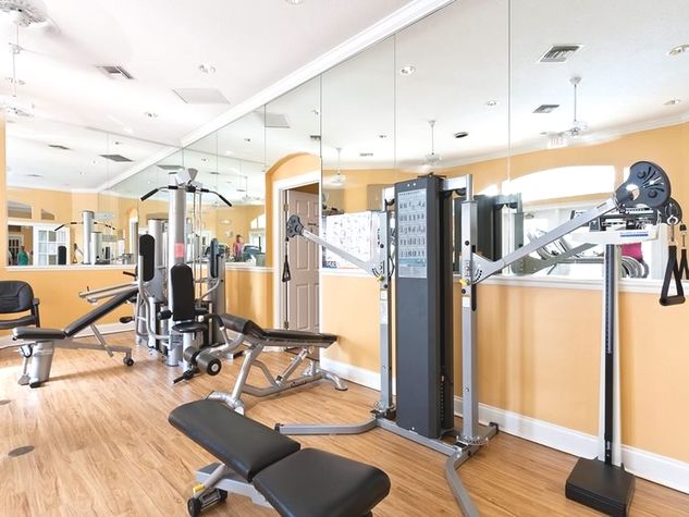 Gymnasium / Gimnasio - ComprandoViajes