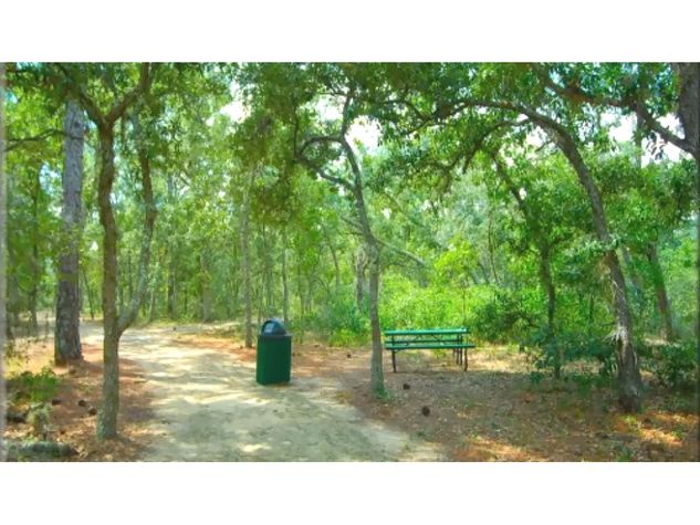 Nature Trails / Senderos naturales - ComprandoViajes