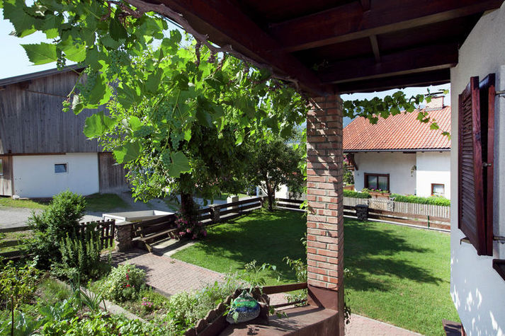 GardenSummer
