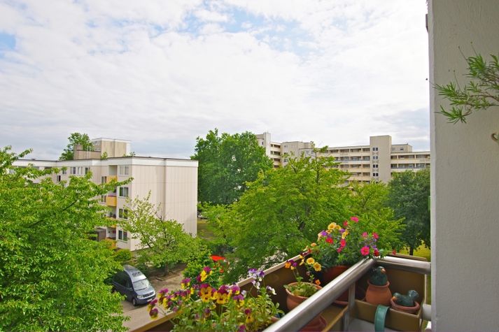 external view