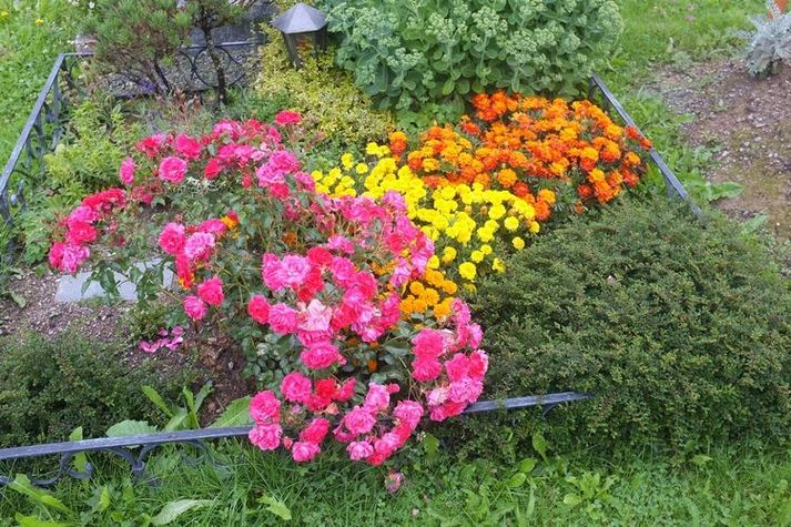 GardenSummer