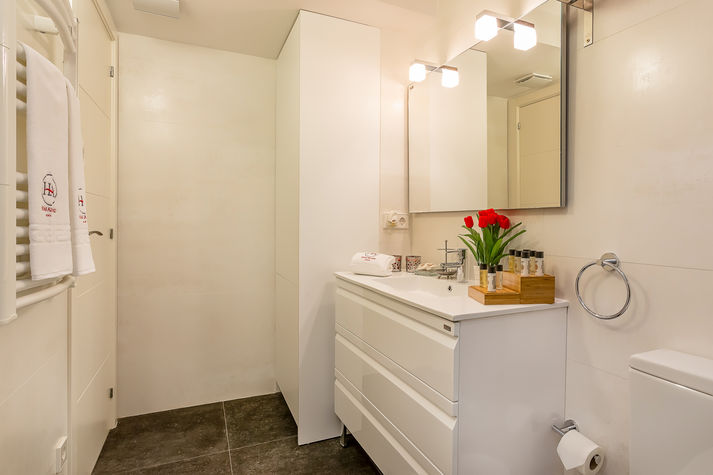 Bathroom with towels heater