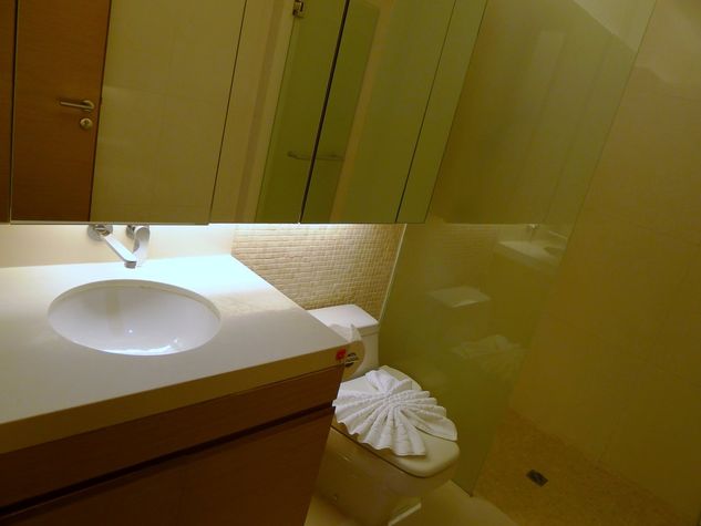 Guest bathroom with a shower, sink and a toilet