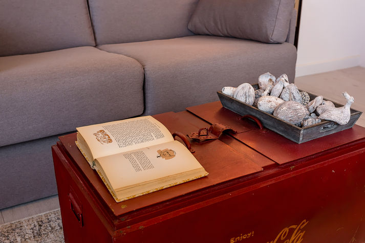 Living area with a double sofa bed