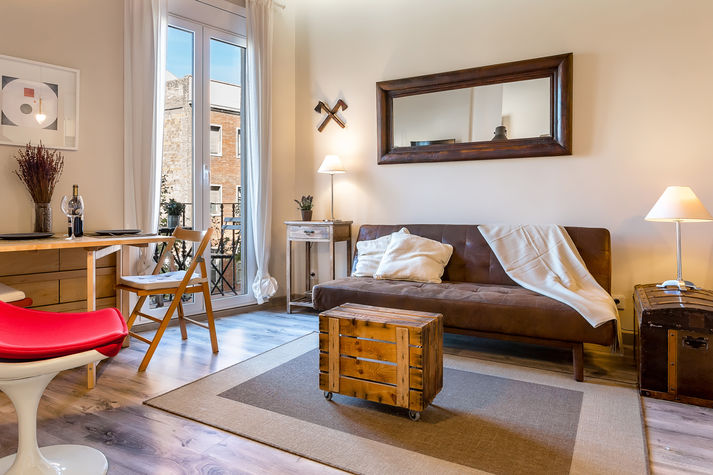 Living Room with convertible sofa bed