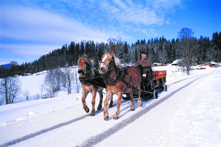 AreaWinter20KM