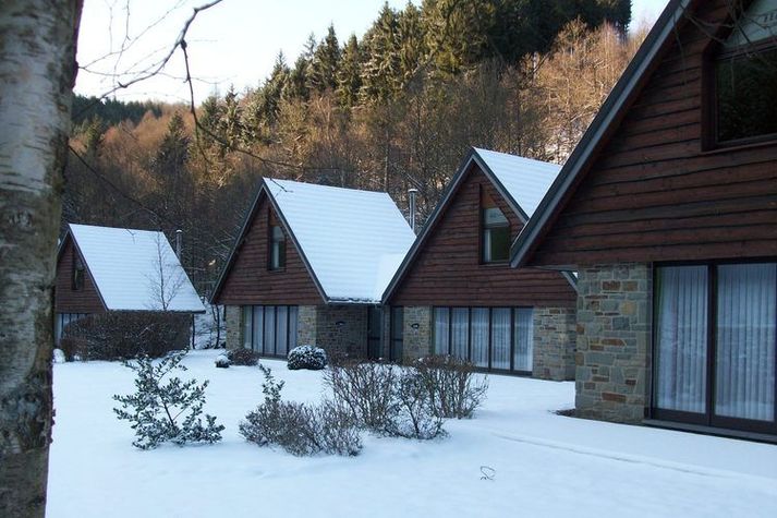 GardenWinter