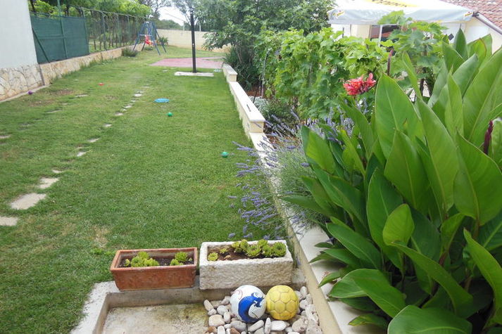 GardenSummer
