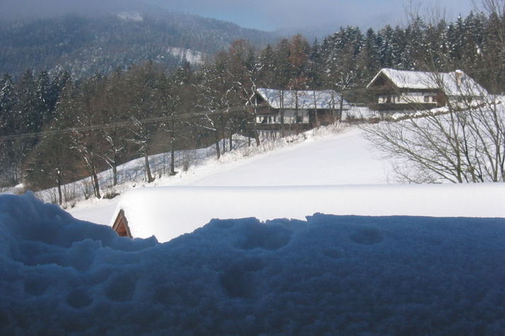 ExteriorWinter