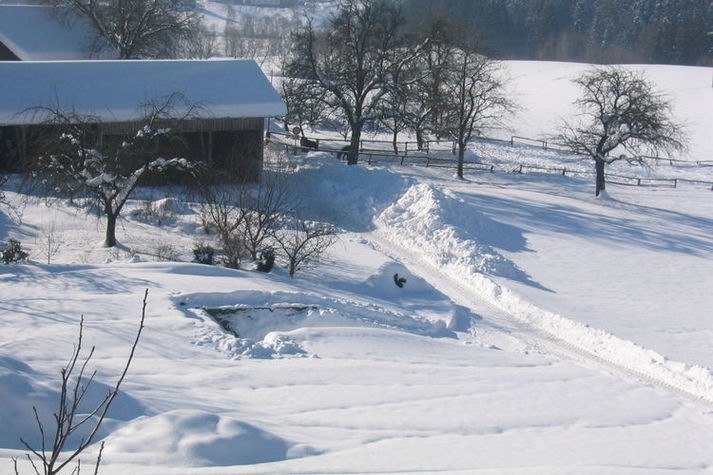ExteriorWinter