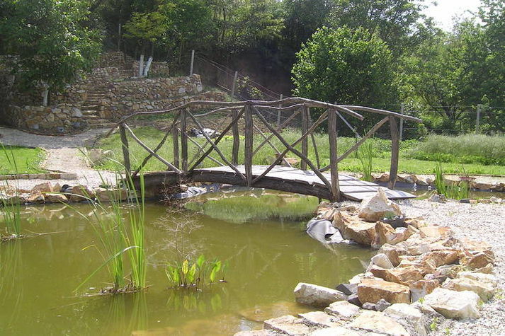 GardenSummer