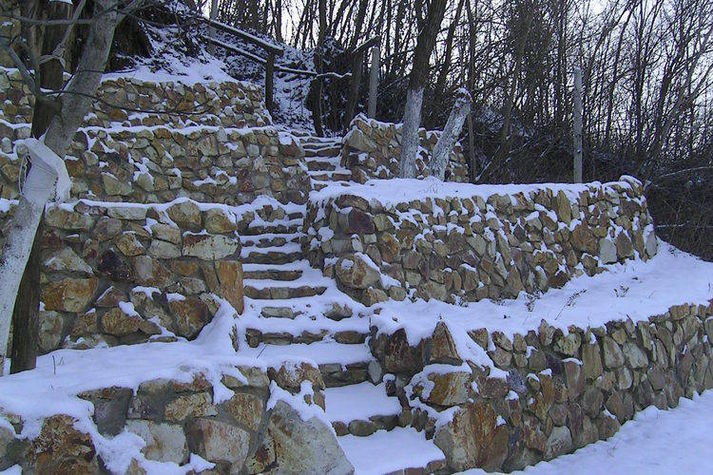 GardenWinter
