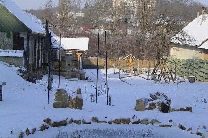 GardenWinter