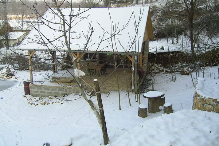 GardenWinter