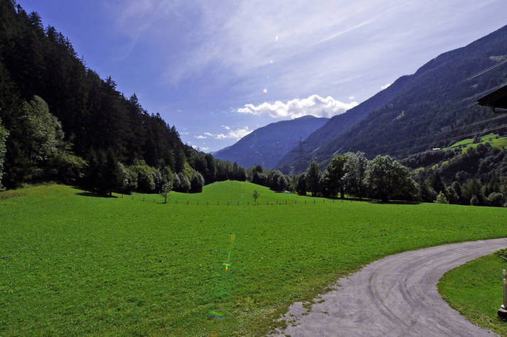 ViewSummer