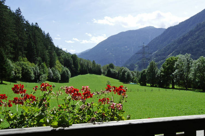 ViewSummer