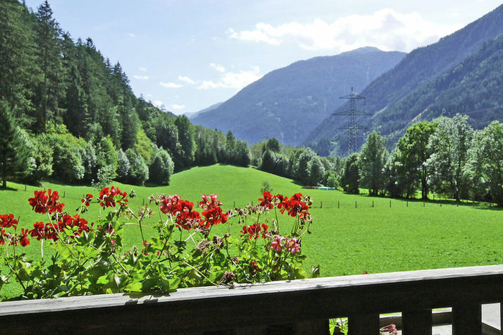 ViewSummer