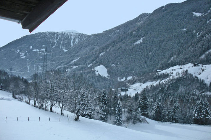 ViewWinter