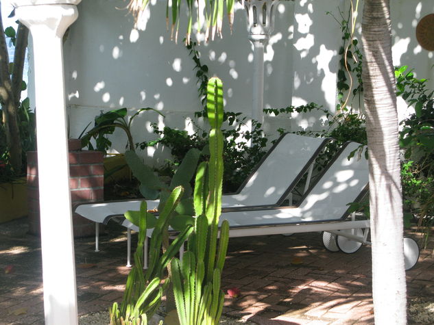 Relax in the Garden.