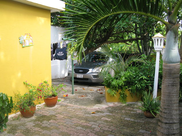 Park your car next to the house