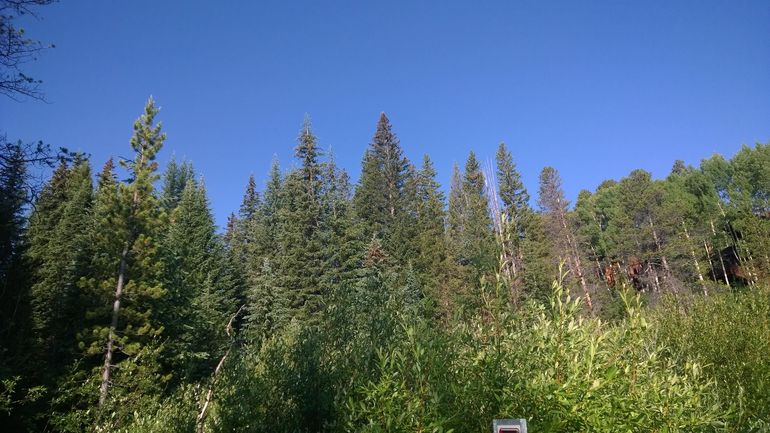 Four O'Clock Trail, which is right across the street from the condo.