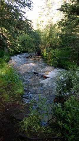 Babbling creek along the Sawmill Trail.